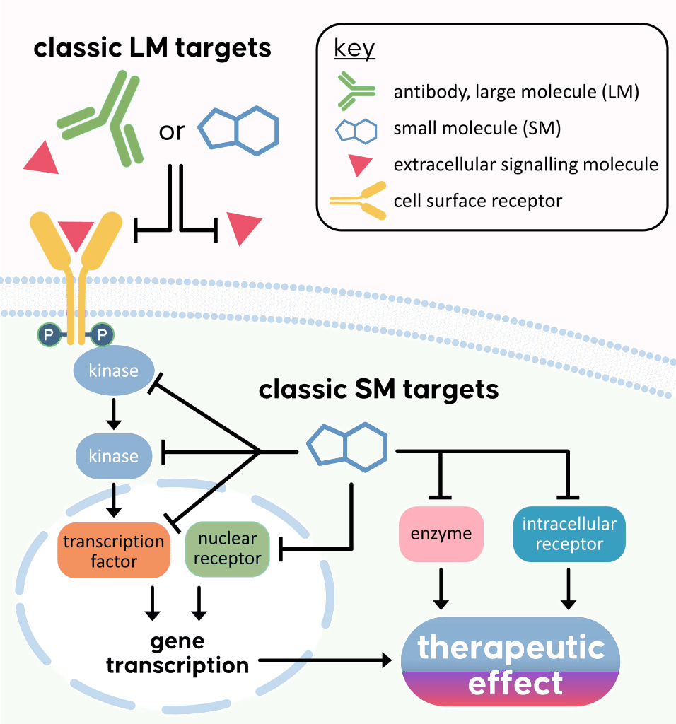 Target engaging of small molecule immunomodulators and large molecules
